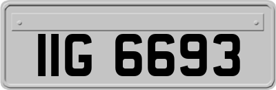 IIG6693