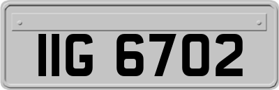 IIG6702