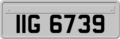 IIG6739