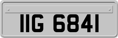 IIG6841