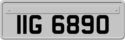 IIG6890