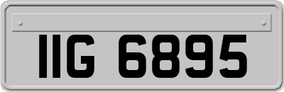 IIG6895