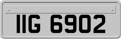 IIG6902