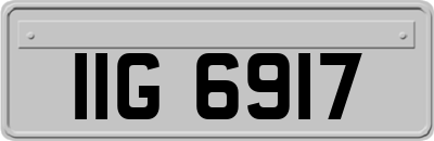 IIG6917