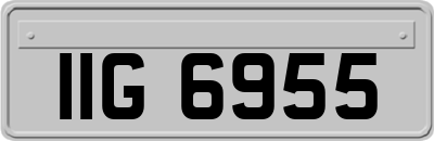 IIG6955