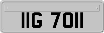 IIG7011