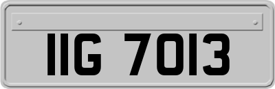 IIG7013