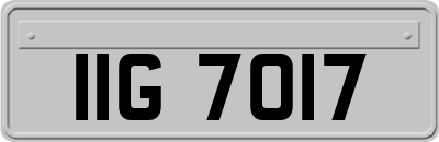 IIG7017