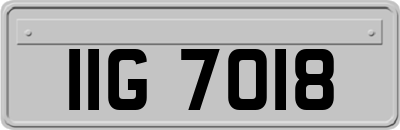 IIG7018