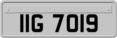 IIG7019