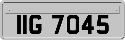 IIG7045