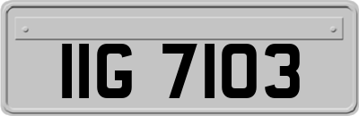 IIG7103