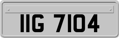 IIG7104