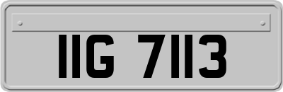 IIG7113