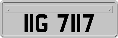 IIG7117