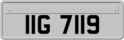 IIG7119