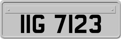 IIG7123