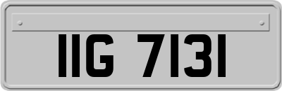 IIG7131