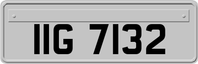 IIG7132
