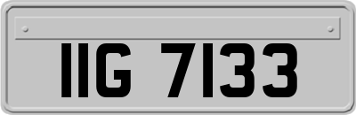 IIG7133