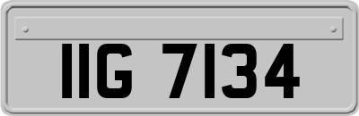 IIG7134