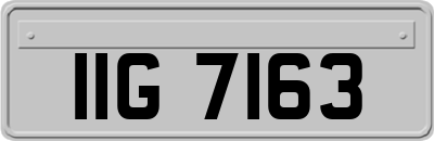 IIG7163