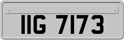 IIG7173