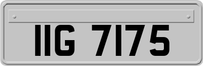 IIG7175