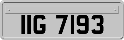 IIG7193