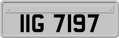 IIG7197