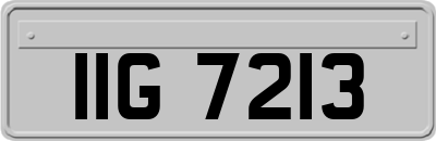 IIG7213