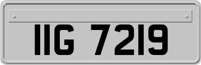 IIG7219