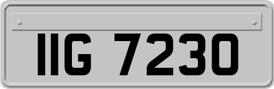 IIG7230