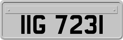 IIG7231