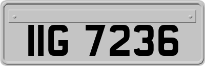 IIG7236