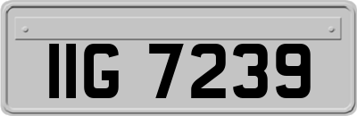 IIG7239