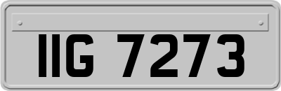 IIG7273