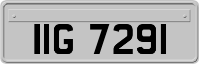 IIG7291