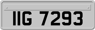 IIG7293