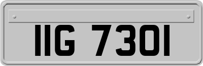 IIG7301