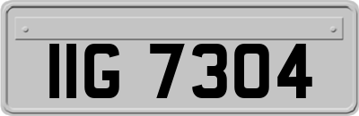 IIG7304