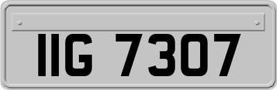 IIG7307