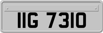 IIG7310