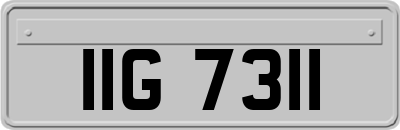 IIG7311