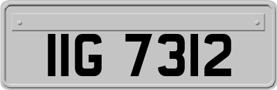 IIG7312