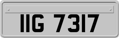 IIG7317