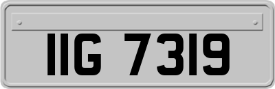 IIG7319