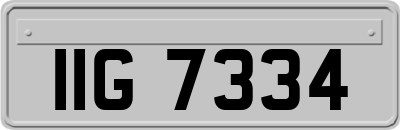 IIG7334