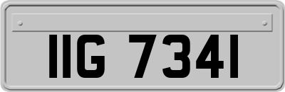 IIG7341