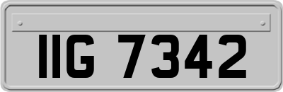 IIG7342